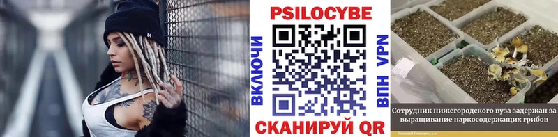 купить наркотик  Лангепас  Галлюциногенные грибы мицелий 
